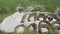 Male hands of archeologist in gloves putting knives near horseshoes on ground. Archaeologist found artifacts and fossils