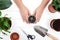 Male hands with cactus. Transplanting cacti. gardening tools shovel, pot, cacti, on wooden background.