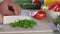 Male hands chop onions for vegetable salad in the kitchen. close-up. Healthy food, home cooking, diet food.