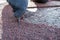 Male hands in gloves are repairing the sports ground, cutting out the damaged area of the special coating with a knife.