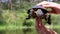 Male Hands Holding a European Pond Turtle on a Blurred Background of a River