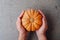 Male hands holding holiday orange pumpkin on grey background, top view. Copy space for text