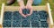 Male hands holding palms full of fresh blueberries against the background of a box