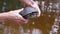 Male Hands Holds a Captured Pond Turtle Above Water. 4K. Close up