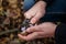 Male hands of mushroom picker holding some tricholoma fungi on forest background