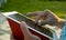 Male hands scrolling the tablet in the park