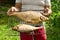 Male hands with tasty bream fish, cooked on the grill