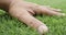 Male hands is touching artificial lawn grass.