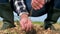 Male hands touching soil on the field. Expert hand of farmer checking soil health before growth a seed of vegetable or