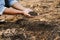 Male hands touching soil on the field. Expert hand of farmer checking soil health before growth a seed of vegetable or plant