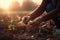 Male hands touching soil on the field during sunset