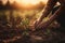 Male hands touching soil on the field during sunset