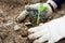 Male hands in work garden gloves touches the seedlings with both hands