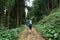 Male hiker with a backpack on his back walks on a mountain trail through the woods, back view