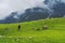 A male hiker walking on a meadow on a high hill