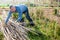 Male horticulturist working with wooden girders in garden