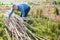 Male horticulturist working with wooden girders in garden