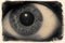 Male Human Eye Pupil Iris Up Close B&W