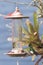 Male hummingbirds, glowing puffleg and Tyrian metaltail, perched on a feeder