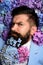 Male with hydrangea flowers. brutal caucasian hipster with moustache. spring. womens day. Mature hipster with beard