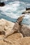 Male, Iguana on the rocks in Cabo San Lucas, Mexico