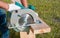 A male joiner works with a hand-held circular saw. A builder is sawing a board at the construction site of a new house