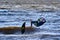 A male kiteboarder jumps above the surface of the water of a large river.