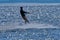 A male kiteboarder rides on a board on a large river.