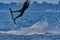 A male kiteboarder rides on a board on a large river.