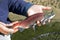 Male Kokanee Salmon Closeup