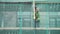 Male laborer wearing uniform pulls up rope on scaffolding covered by green net