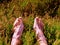 Male legs on dry heather bush. Tired legs on rocky peak bove landscape. Pure pink skin, clear nails.