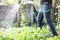 Male legs with watering plants in home garden