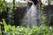 Male legs with watering plants in home garden