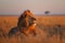 male lion sitting at savanna safari .Generative Ai