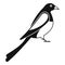 Male magpie icon, simple style