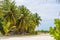 MALE, MALDIVES - NOVEMBER 18, 2016: View of nice tropical beach with coconut palm tree, Maldives islands. Copy space for text.