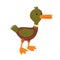 Male Mallard Duck, Cute Funny Duckling Cartoon Character Vector Illustration
