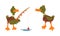 Male Mallard Duck with Orange Bill Standing with Fishing Rod Catching Fish Vector Set