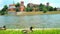 The male mallards on the bank of Vistula river, Krakow, Poland.