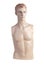 Male mannequin torso | Studio isolated