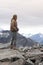 Male model posts at the top of snowcapped mountain peak around Aoraki Mount Cook and Mount Cook National Park