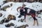 Male mouflon on a snowy slope