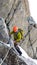 Male mountain climber traverses a tricky rock chimney on his way to a high alpine summit