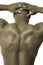 Male muscle back
