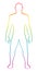 Male Muscular Shape Rainbow Colored Outline Illustration
