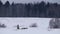 Male musher drives sled with team of Alaskan huskies.