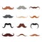 Male mustache set