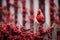 Male Northern Cardinal perched on a fence with red flowers in the background, red bird like a cardinal sitting on a fence, AI