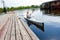 Male oarsman canoeing on lake using paddle in summer day